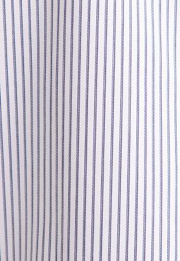 Фото рубашки Прямой силуэт Рубашка SEIDENSTICKER, цвет синий